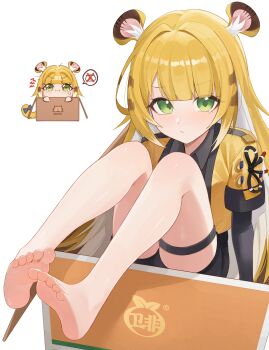 1girl absurdres animal_ear_fluff animal_ears barefoot black_shirt blonde_hair box chibi chibi_inset collared_shirt commentary_request feet green_eyes highres in_box in_container jacket ju_fufu long_hair looking_at_viewer multicolored_hair multiple_views open_clothes open_jacket revision shirt simple_background soles tail thigh_strap tiger_ears tiger_girl tiger_stripes tiger_tail toes weimiaw white_background yellow_jacket zenless_zone_zero