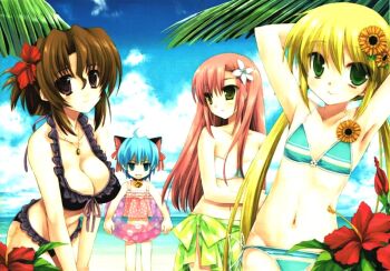 1boy 3girls animal_ears ayasaki_hayate bare_shoulders bell bikini blonde_hair blue_eyes blue_hair blush breasts brown_hair cat_ears cleavage collar collarbone day female_focus flat_chest flower folded_ponytail green_eyes hair_flower hair_ornament hayate_no_gotoku! jewelry katsura_hinagiku large_breasts long_hair maria_(hayate_no_gotoku!) miyasu_risa multiple_girls navel necklace ocean outdoors palm_tree pink_hair red_eyes sanzen'in_nagi sarong scan sky small_breasts stomach swim_ring swimsuit third-party_edit trap tree twintails yellow_eyes