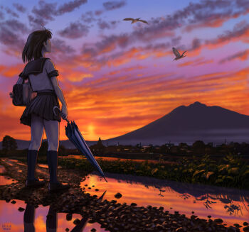 1girl bag bird black_hair closed_umbrella cloud crane_(animal) dated female_focus from_behind grass lights looking_up matataku mountain original path puddle reflection ripples road rock school_uniform serafuku short_hair signature sky solo standing sunset town tree umbrella water