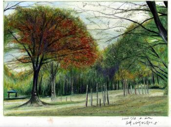 absurdres autumn baden_hiroshi border colored_pencil_(medium) commentary_request day forest highres making-of_available nature no_humans original outdoors park real_world_location scenery traditional_media white_border