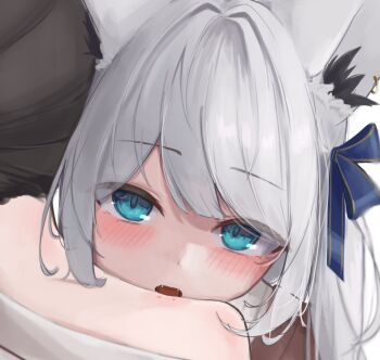 2girls ahoge animal_ear_fluff animal_ears bite_mark black_hair blue_bow blush bow braid commentary_request earrings fox_ears fox_girl green_eyes hair_between_eyes hair_bow highres hololive jewelry long_hair looking_at_viewer multiple_girls sharp_teeth shirakami_fubuki sidelocks single_braid teeth virtual_youtuber white_hair youkey