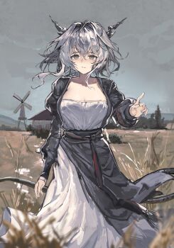 1girl absurdres arknights arm_up black_horns breasts cleavage cowboy_shot dress floating_hair grey_hair grey_sky hair_intakes highres horns long_sleeves looking_at_viewer okasaki_ushio_(03103335) outdoors sad sky solo standing tail talulah_(arknights) wheat_field windmill