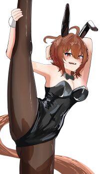 1girl absurdres agnes_tachyon_(umamusume) ahoge animal_ear_hairband animal_ears black_bow black_bowtie black_leotard black_pantyhose bow bowtie breasts brown_hair commentary cowboy_shot detached_collar fake_animal_ears hairband highres horse_girl horse_tail ikaeru_squid19 leotard medium_breasts pantyhose playboy_bunny rabbit_ears red_eyes short_hair simple_background solo split standing standing_on_one_leg standing_split strapless strapless_leotard tail umamusume white_background wrist_cuffs