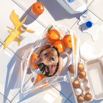 animal animal_focus broken_egg bwspace69 cat drink_carton egg_carton egg_yolk eggshell food fruit highres looking_at_viewer milk milk_carton no_humans orange_(fruit) original sphynx_cat spill