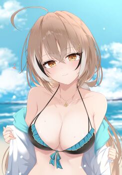 Rule 34 | 1girl, ahoge, beach, bikini, black bikini, black streaks, blue sky, breasts, brown eyes, brown hair, closed mouth, cloud, cloudy sky, day, highres, hololive, hololive english, jacket, large breasts, long hair, looking at viewer, nanashi mumei, narukahana, ocean, sky, solo, swimsuit, virtual youtuber, white jacket, white streaks