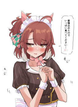 1girl absurdres animal_ears blush brown_hair choker commentary_request dantsu_flame_(umamusume) ear_covers gryebooks highres horse_ears horse_girl looking_at_viewer maid_headdress multicolored_hair pink_choker short_sleeves simple_background solo speech_bubble translation_request two-tone_hair umamusume white_background white_hair