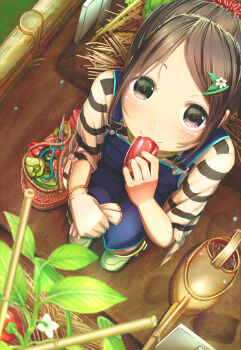 1girl absurdres aiuabo basket bell_pepper black_eyes black_hair brown_hair commentary_request eating flower food from_above gloves green_bell_pepper hair_flower hair_ornament hairclip highres holding holding_food holding_gloves holding_unworn_clothes holding_vegetable looking_at_viewer looking_up original overalls plant red_pepper revision scissors shirt shoes sitting smile solo striped_clothes striped_shirt tied_sleeves unworn_gloves vegetable watering_can white_gloves