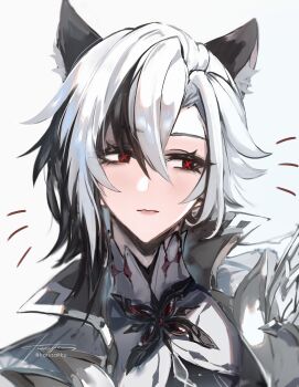 1girl animal_ears arlecchino_(genshin_impact) averting_eyes black_hair blush cat_ears closed_mouth commentary_request genshin_impact highres kemonomimi_mode korusakku multicolored_hair portrait red_pupils signature simple_background solo streaked_hair symbol-shaped_pupils two-tone_hair white_background white_hair x-shaped_pupils