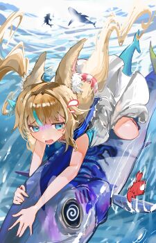 @_@ absurdres animal_ear_fluff animal_ears blonde_hair blue_eyes commentary day diffraction_spikes diving dress english_commentary fins fish fish_tail fleeing flying_sweatdrops from_side gawr_gura highres hololive hololive_english hungyn16526851 indie_virtual_youtuber kaniki_(sameko_saba) long_hair looking_at_viewer motion_lines multicolored_hair open_mouth outdoors polearm riding riding_animal sameko_saba scared shark shark_girl silhouette sleeveless streaked_hair submerged swimming tail trident twintails underwater virtual_youtuber weapon white_dress