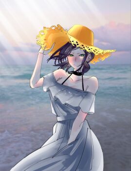 1girl bare_shoulders black_choker black_hair breasts chainsaw_man choker cleavage commentary_request cowboy_shot dress frilled_dress frills green_eyes grey_dress hair_bun hat highres korean_commentary light_rays long_dress medium_breasts off-shoulder_dress off_shoulder photo_background pqeoqp reze_(chainsaw_man) single_hair_bun smile solo sun_hat