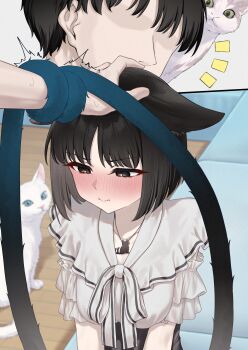 1boy 1girl absurdres animal_ears black_eyes black_hair black_skirt blue_archive blue_halo cat cat_ears cat_girl cat_tail commentary_request halo headpat high-waist_skirt highres kikyou_(blue_archive) multiple_tails pizza_(pizzania_company) pov sensei_(blue_archive) shirt short_hair short_sleeves skirt tail translation_request two_tails white_shirt