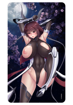 1girl aoi_nagisa_(metalder) breasts huge_breasts lilith-soft mature_female mizuki_shiranui solo taimanin_(series) taimanin_yukikaze