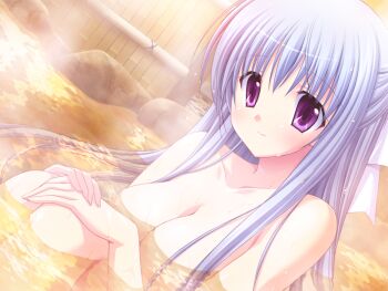 1girl bare_arms blue_hair breasts choco_chip completely_nude convenient_censoring dutch_angle game_cg knees_up long_hair looking_at_viewer nude onoshima_kusumi onsen prima_stella purple_eyes smile upper_body water