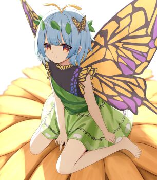 16sanrach 1girl absurdres antennae barefoot black_dress blue_hair butterfly_hair_ornament butterfly_wings closed_mouth commentary dress eternity_larva fairy green_dress hair_ornament highres insect_wings leaf leaf_on_head looking_at_viewer multicolored_dress red_eyes simple_background sitting smile solo symbol-only_commentary toes touhou wariza white_background wings yellow_wings
