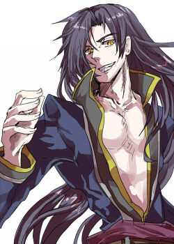 1boy commentary_request fire_emblem fire_emblem:_the_blazing_blade karel_(fire_emblem) long_hair male_focus nintendo pectoral_cleavage pectorals samo_(samopiccoro) simple_background solo teeth very_long_hair yellow_eyes