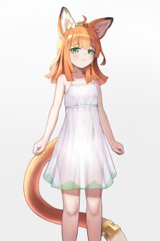 1girl absurdres ahoge animal_ear_fluff animal_ears arknights bare_arms bare_shoulders blush breasts cat_ears cat_girl cat_tail closed_mouth collarbone commentary dress feet_out_of_frame gradient_background green_eyes grey_background highres long_hair looking_at_viewer orange_hair papyrus_(arknights) sleeveless sleeveless_dress small_breasts solo standing sweat symbol-only_commentary tail th3cr0ma white_background white_dress