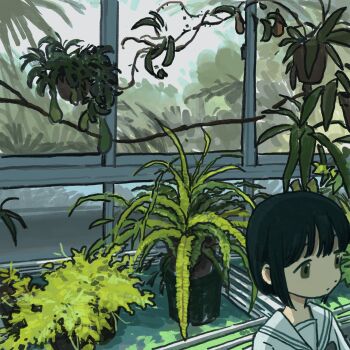 1girl black_hair bob_cut dot_nose expressionless fern greenhouse highres nihiru0513 okra original plant potted_plant sailor_collar shirt solo white_sailor_collar white_shirt