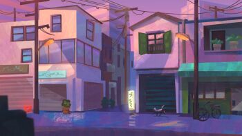 Rule 34 | alley, animal, bicycle, black cat, building, bush, cat, glowing, lamppost, little kitty big city, no humans, open window shutter, outdoors, pink light, pink sky, plant, potted plant, power lines, railing, scenery, sidewalk, sign, sky, spotlight, sunset, town, utility pole, variant set, walking, window, zandra