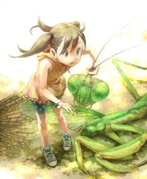 1girl artist_request black_hair blush breasts bug child flat_chest highres hood hoodie bug mantis peril shoes shorts size_difference small_breasts sneakers tagme