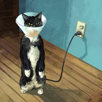 absurdres animal animal_focus black_cat cat catwheezie commentary electric_plug electrical_outlet english_commentary highres indoors no_humans original pet_cone shadow wooden_floor