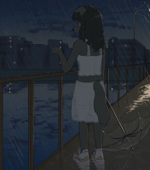 1girl animal_ears animal_nose black_hair boardwalk dog_ears dog_tail dusk furry furry_female highres holding holding_umbrella lamppost original outdoors panties railing rain see-through_clothes see-through_skirt shoes skirt solo standing tabby_mow tail transparent transparent_umbrella umbrella underwear water wet