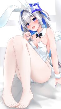 Rule 34 | 1girl, absurdres, alternate breast size (larger), amane kanata, angel wings, animal ear hairband, animal ears, bare arms, bare shoulders, blue hair, breasts, cleavage, colored inner hair, fake animal ears, fang, feet, full body, grey hair, hairband, highres, hololive, leotard, medium breasts, multicolored hair, no shoes, open mouth, pantyhose, playboy bunny, rabbit ears, see-through pantyhose, sitting, solo, st-147, strapless, strapless leotard, thighs, toes, toes visible through clothing, two-tone hair, virtual youtuber, white leotard, white wings, white wrist cuffs, wings, wrist cuffs