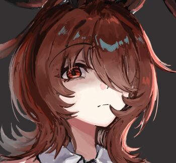 1girl agnes_tachyon_(umamusume) ahoge animal_ears brown_hair closed_mouth hair_over_one_eye horse_ears horse_girl huge_ahoge looking_at_viewer medium_hair portrait red_eyes shirt short_hair solo sui_sui0510 umamusume wolf_cut