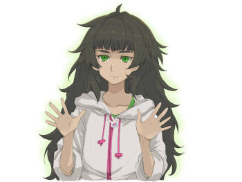1girl ahoge black_hair collarbone drawstring green_eyes highres hiyajou_maho hood hoodie long_hair looking_at_viewer menomorute messy_hair open_hands rolled_up_sleeves science_adventure smile solo steins;gate steins;gate_0 tagme very_long_hair white_background white_hoodie