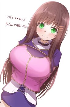 1girl blush breasts brown_hair closed_mouth green_eyes hair_ornament hairclip kuuwassy large_breasts long_hair looking_at_viewer pencil_skirt simple_background skirt smile solo sophia_esteed star_ocean star_ocean:_till_the_end_of_time white_background