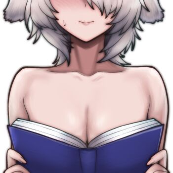 1girl animal_ears boobs_in_book_(meme) breasts commentary dog_ears dog_girl english_commentary eyes_out_of_frame fire_emblem fire_emblem_shadows grey_hair head_out_of_frame kurt_(fire_emblem) meme nintendo rotomdocs short_hair simple_background small_breasts solo upper_body white_background