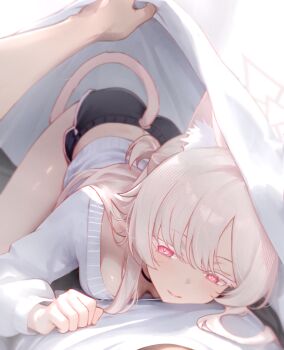 1boy 1girl absurdres akira_(blue_archive) alternate_costume animal_ear_fluff animal_ears bed_sheet black_choker black_shorts blanket blue_archive blush breasts bright_pupils cat_ears cat_girl cat_tail choker closed_mouth colored_eyelashes commentary dolphin_shorts downblouse halo highres long_hair long_sleeves looking_at_viewer lying_on_person medium_breasts mellow_(srpp4843) pov red_eyes shared_blanket sheet_grab shirt short_shorts shorts smile tail thighs under_covers white_hair white_halo white_pupils white_shirt