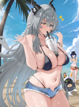 2girls absurdres bangboo_(zenless_zone_zero) belle_(summer_skies)_(zenless_zone_zero) belle_(zenless_zone_zero) bikini bikini_bottom_under_shorts bikini_under_clothes black_bikini black_horns blue_eyes blue_sky breasts bubble_tea bubble_tea_challenge camera commentary cup denim denim_shorts disposable_cup english_commentary eous_(zenless_zone_zero) green_eyes grey_hair heterochromia highres holding holding_camera horns large_breasts medium_breasts midriff multiple_girls navel open_fly orange_eyes palm_tree recording short_shorts shorts sky sorrow924 sunbringer_(zenless_zone_zero) swimsuit tree video_camera zenless_zone_zero