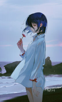 1girl black_choker blood blood_on_clothes blue_hair chainsaw_man choker collared_shirt flower green_eyes grenade_pin highres holding holding_flower long_sleeves medium_hair outdoors overcast parai0 red_flower reze_(chainsaw_man) shirt sky solo torn_clothes torn_sleeves white_shirt