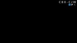 1boy 1girl 3d animated artist_name ass audible_music barefoot blue_eyes blush breasts cbx_cjw clothed_female_nude_male completely_nude cum cum_in_mouth ejaculation fellatio girl_on_top grinding hetero honkai:_star_rail honkai_(series) huge_filesize indoors koikatsu_(medium) large_breasts looking_at_viewer march_7th_(honkai:_star_rail) multiple_views navel nipples nude oral patreon_username penis pink_hair pixiv_logo plant pov pov_crotch pussy soles sound stuffed_animal stuffed_toy tagme tears teddy_bear testicles toes twitter_x_logo uncensored video