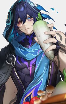 1boy absurdres animal_ears black_hair black_hood black_jacket black_shirt blue_eyes blue_hair closed_mouth facial_mark food genshin_impact hair_between_eyes hashtag-only_commentary heterochromia highres holding holding_food holding_vegetable hood hood_up jacket lion_2929 long_hair male_focus multicolored_hair mushroom ororon_(genshin_impact) pink_eyes radish shirt solo tomato vegetable