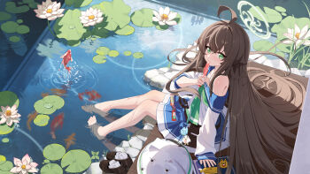 Rule 34 | 1girl, absurdres, bare shoulders, barefoot, blue archive, brown hair, brown shoes, character request, feet in water, fish, flower, goldfish, green eyes, hair spread out, halo, highres, lake, long hair, looking at viewer, lotus, ripples, shoes, sleeves past wrists, unworn shoes, very long hair, xintianou