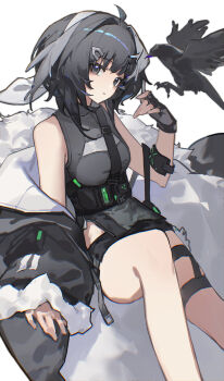 1girl absurdres ahoge arknights bird black_eyes black_gloves black_hair black_shorts chi_chi_(lofter_2016543390) chinese_commentary commentary_request crow feather_hair feet_out_of_frame fingerless_gloves fur-trimmed_jacket fur_trim gloves grey_shirt hair_intakes hair_ornament hairclip highres jacket la_pluma_(arknights) off_shoulder open_clothes open_jacket shirt short_hair shorts simple_background sitting sleeveless sleeveless_shirt solo white_background