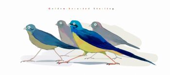 animal bird commentary_request english_text full_body nagabe no_humans original simple_background walking white_background
