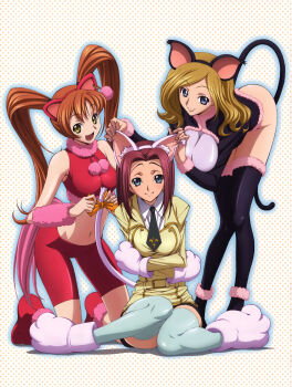 3girls absurdres animal_ears animal_hands aqua_thighhighs bike_shorts black_legwear cat_ears cat_tail code_geass cosplay gloves highres kouzuki_kallen milly_ashford multiple_girls official_art paw_gloves paw_shoes reference_work scan school_uniform shirley_fenette shoes sleeveless sleeveless_turtleneck tabata_hisayuki tail thighhighs turtleneck