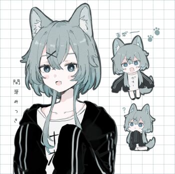Rule 34 | 1girl, :<, ?, animal ears, aqua eyes, black jacket, bright pupils, chibi, collarbone, crossed bangs, fang, grey hair, grey tail, grid background, hair between eyes, hair ornament, hairclip, highres, indie virtual youtuber, jacket, long sleeves, looking at viewer, maga mitsuki, multiple views, open clothes, open jacket, open mouth, oshio (baniniwana), oversized clothes, oversized shirt, paw print, shirt, short hair with long locks, simple background, sleeves past fingers, sleeves past wrists, smile, tail, translation request, upper body, virtual youtuber, white pupils, white shirt, wolf ears, wolf girl, wolf tail