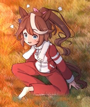 1girl :d animal_ears barefoot blue_eyes blush brown_hair commentary day full_body grass hair_ribbon highres horse_ears horse_girl horse_tail jacket long_hair long_sleeves looking_at_viewer multicolored_hair open_mouth outdoors pants pink_ribbon ponytail rakugakiraid red_jacket red_pants ribbon sitting smile solo spread_legs tail tokai_teio_(umamusume) tracen_training_uniform track_jacket two-tone_hair umamusume white_hair zipper