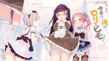 3girls animal_ears apron ass bare_shoulders black_hair blue_eyes blush breasts cat_ears cat_tail close-up clothes_lift commentary_request dress elbow_gloves frilled_dress frilled_shirt_collar frilled_skirt frills garter_straps gloves hair_ornament hair_ribbon hairclip henreader highres komori_sana kyou_kara_ore_wa_loli_no_himo! lifted_by_tail lifting_another&#039;s_clothes long_hair looking_at_viewer looking_back looking_down maid maid_apron maid_headdress multiple_girls nijou_touka non-web_source official_art official_wallpaper open_mouth orange_hair panties pantyshot pink_panties purple_eyes purple_hair ribbon short_hair skirt skirt_lift small_breasts standing tail tanzawa_chizuru thighhighs translation_request twintails underwear wrist_cuffs zettai_ryouiki