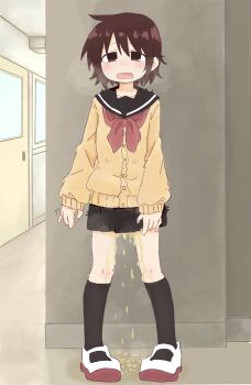 1girl arm_at_side black_sailor_collar black_skirt black_socks blush breath brown_eyes brown_hair buttons cardigan collarbone door embarrassed female_focus flat_chest full_body hallway indoors kneehighs long_sleeves looking_at_viewer matching_hair/eyes miniskirt neckerchief nose_blush open_mouth original pee peeing peeing_self pigeon-toed pleated_skirt ponnu_(tnpn2yw) puddle raised_eyebrows red_neckerchief sailor_collar school school_uniform serafuku shoes short_hair sidelocks skirt socks solo standing steam white_shoes yellow_cardigan