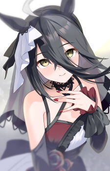 1girl animal_ears bare_shoulders black_flower black_hair black_rose blurry blush closed_mouth collarbone commentary_request depth_of_field dress dress_flower flower hair_between_eyes hand_on_own_chest highres horse_ears horse_girl long_hair long_hair_between_eyes looking_at_viewer manhattan_cafe_(mysterious_rose)_(umamusume) manhattan_cafe_(umamusume) meyamu multicolored_dress nail_polish official_alternate_costume red_nails rose see-through_clothes see-through_veil simple_background smile solo umamusume veil white_background yellow_eyes