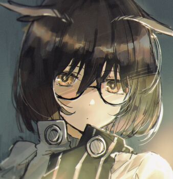 1girl arknights bird_girl black-framed_eyewear bloom brown_hair closed_mouth collared_jacket dot_mouth dot_nose expressionless feather_hair glasses grey_background hair_between_eyes high_collar jacket looking_at_viewer medium_hair orange_eyes pono portrait semi-rimless_eyewear sidelocks silence_(arknights) simple_background solo straight-on