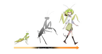 1girl antennae arrow_(symbol) arthropod_girl black_socks cardigan cardigan_around_waist clothes_around_waist evolution evolvingmonkey green_hair highres kneehighs mantis_akiyama mantis_girl original parasite praying_mantis school_uniform socks translated walking white_background worm
