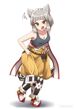 1girl animal_ears canadiananiguy cat_ears cat_girl nia_(xenoblade) simple_background solo white_background xenoblade_chronicles_(series) xenoblade_chronicles_2 yellow_eyes