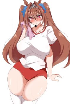 1girl animal_ears breasts brown_hair buruma collarbone commentary_request daiwa_scarlet_(umamusume) gym_shirt hair_intakes highres holding holding_towel horse_ears horse_girl horse_tail large_breasts long_hair maz_515 open_mouth red_buruma red_eyes shirt simple_background solo sweat sweat_stain tail thick_thighs thigh_gap thighs towel twintails umamusume very_long_hair white_background