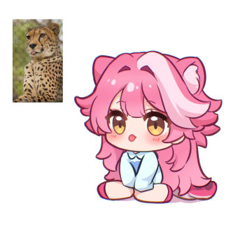 1girl animal_ears blue_shirt blush cheetah chibi chibi_only closed_mouth commentary hair_intakes hololive hololive_english long_hair long_sleeves multicolored_hair nikoo panther_ears panther_girl panther_tail pink_hair pink_shoes pink_tail raora_panthera shirt shoes simple_background sitting sleeves_past_fingers sleeves_past_wrists streaked_hair tail tongue tongue_out virtual_youtuber white_background yellow_eyes