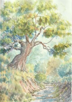 commentary_request day forest highres nature no_humans original outdoors painting_(medium) paruperu path road scenery traditional_media tree watercolor_(medium)
